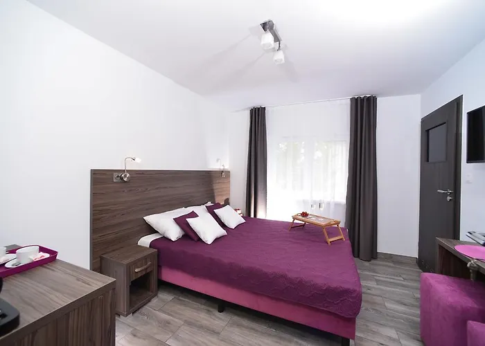 Jodlowa 6 Homestay *